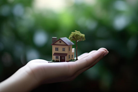 How Homeowners Can Live a Clean, Green Life
