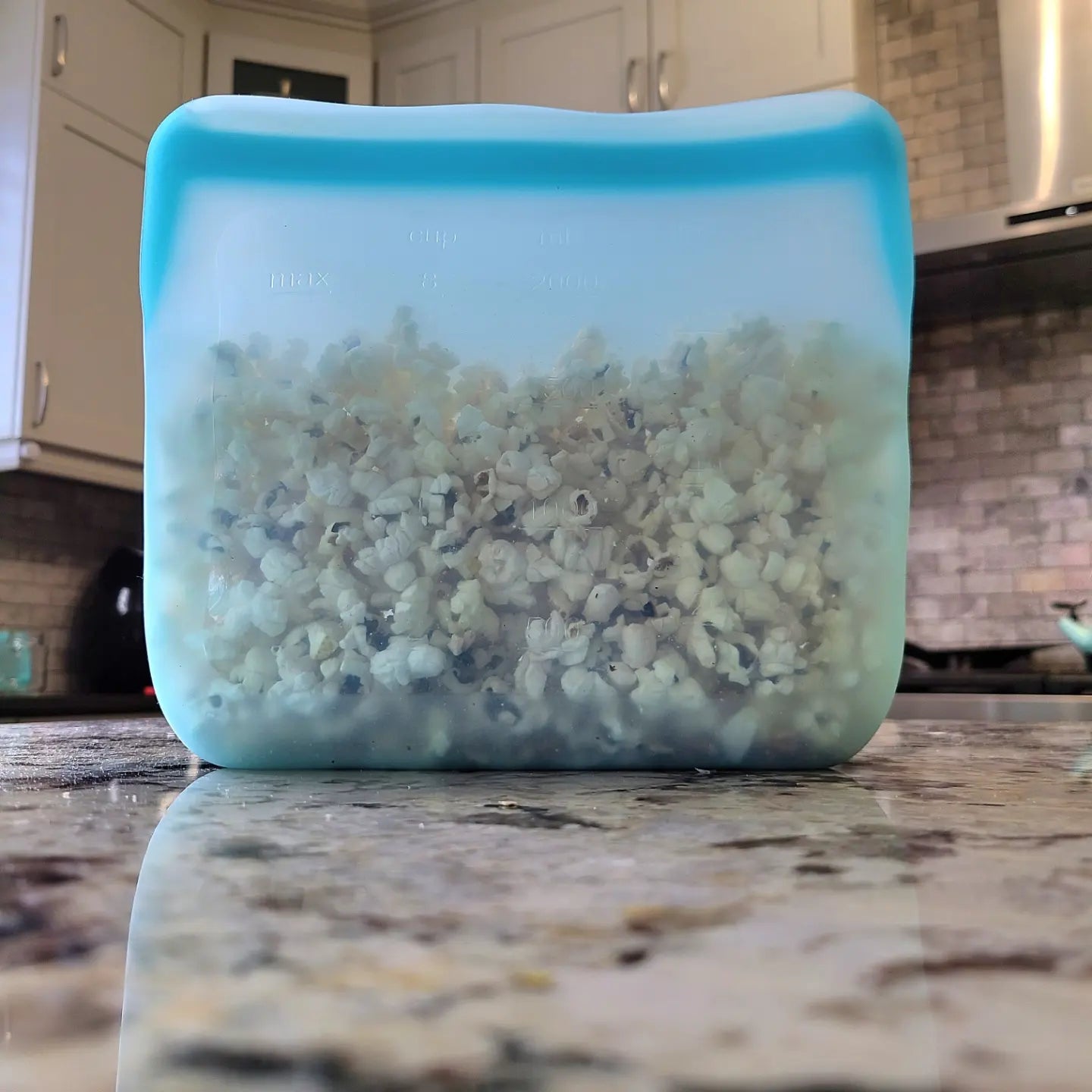 ecoSENSE: Reusable Silicone Food Storage- Large