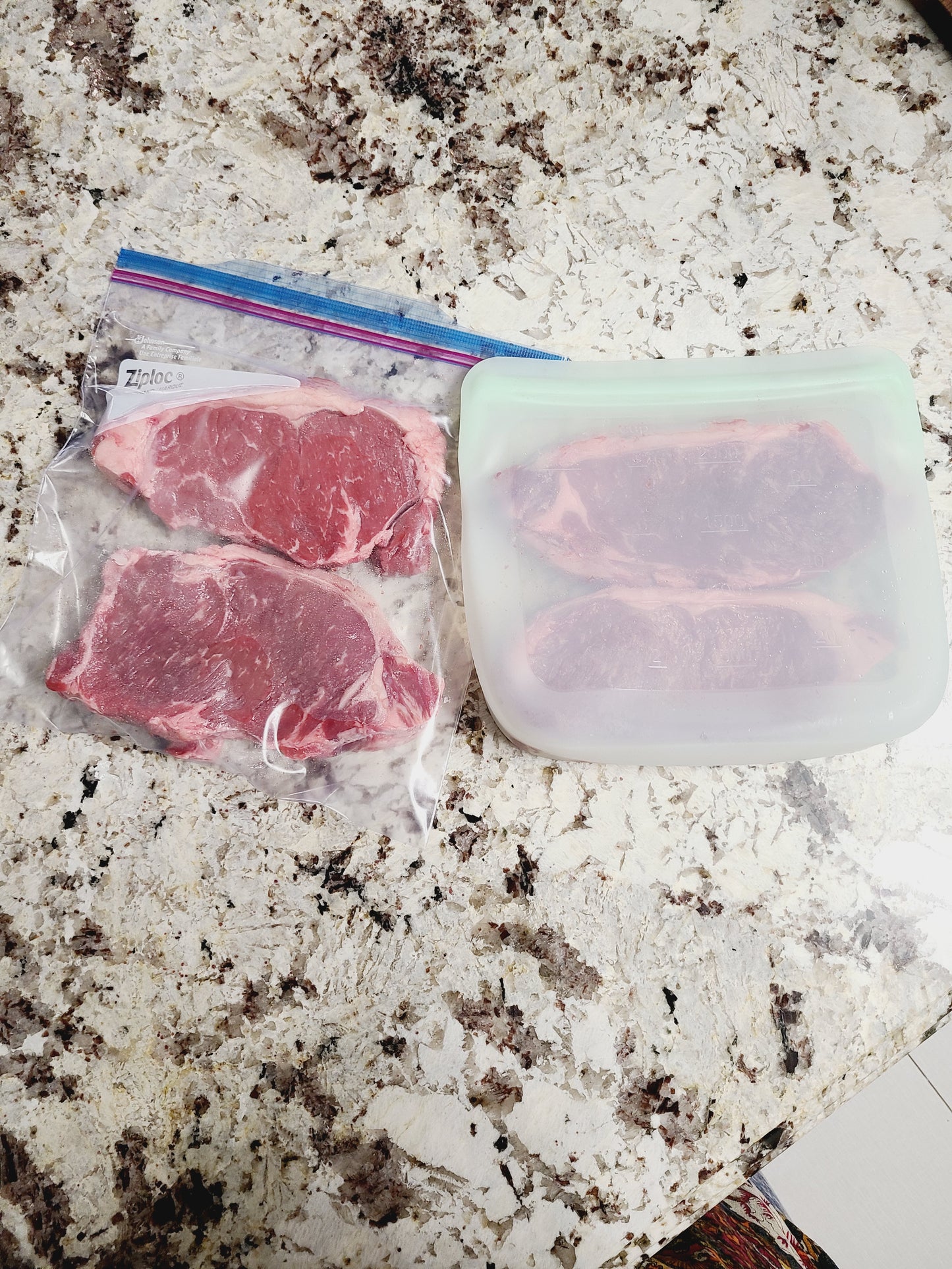 plastic vs Reusable Silicone Storage Bag